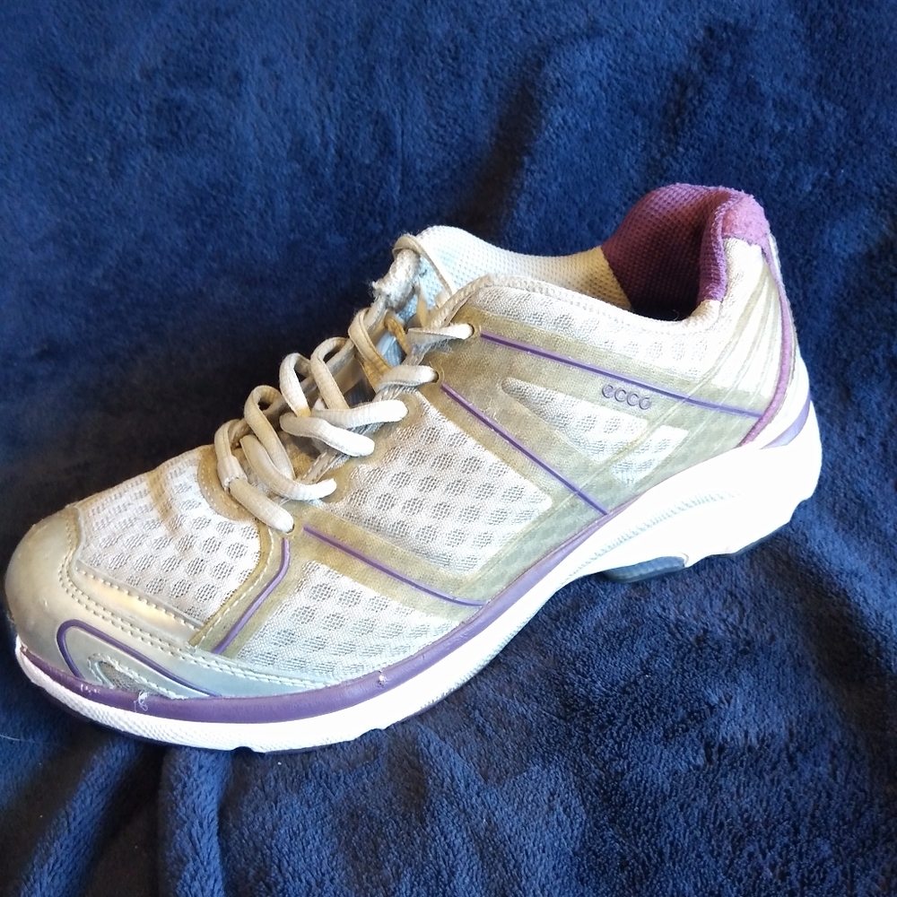 Ecco Receptor Tech